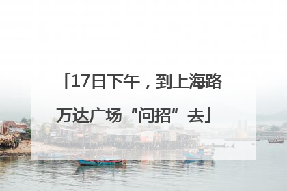 17日下午，到上海路万达广场“问招”去